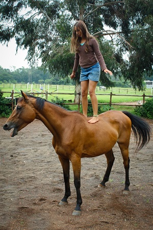 Freda Gocian & Natural Horsemanship
